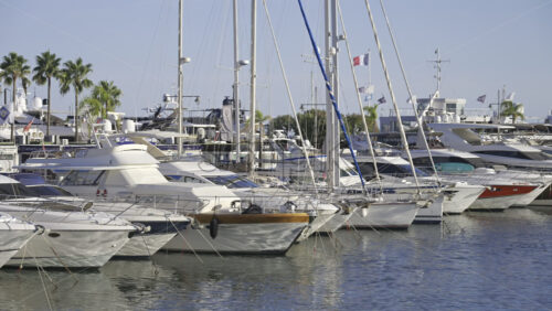 Cannes, France – June 22, 2025: Multiple boats docked in the Cannes harbour surrounded by palm trees in daylight - Starpik Stock