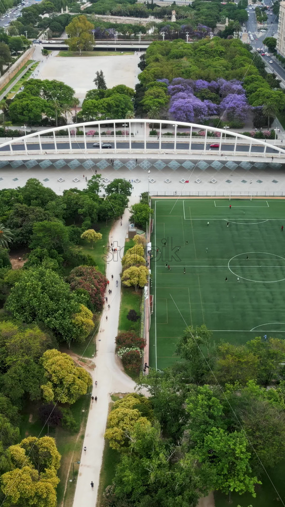 Cars and public transportation moving on the Exhibition Bridge near the Mestalla Stadium, and the Turia Gardens Park in Valencia, Spain. Vertical - Starpik Stock