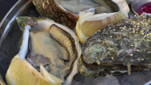 Close up of Oysters on ice with lemon at a restaurant - Starpik Stock