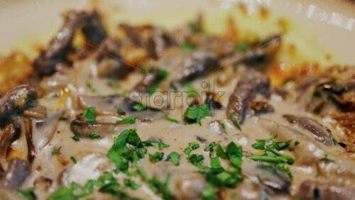 Close up of a creamy mushroom sauce over mashed potatoes on a plate at a restaurant - Starpik Stock