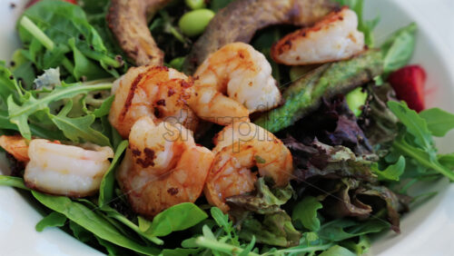 Close up of a fresh salad topped with grilled shrimp, leafy greens, avocado, and vegetables, perfect for healthy eating - Starpik Stock