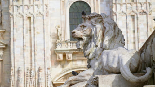 Close up of a lion statue in the Duomo Square in Milan, Italy in the daylight - Starpik Stock