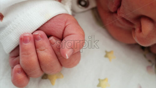 Close up of a newborn baby’s tiny hand clenched in soft natural light while resting - Starpik Stock