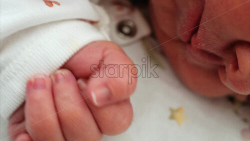 Close up of a newborn baby’s tiny hand clenched in soft natural light while resting - Starpik Stock