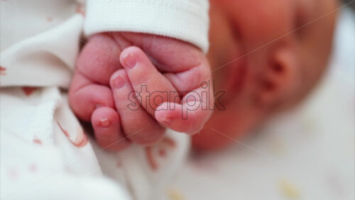 Close up of a newborn baby’s tiny hand clenched in soft natural light while resting - Starpik Stock