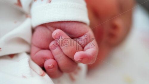 Close up of a newborn baby’s tiny hand clenched in soft natural light while resting - Starpik Stock