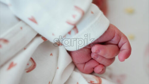 Close up of a newborn baby’s tiny hand clenched in soft natural light while resting - Starpik Stock