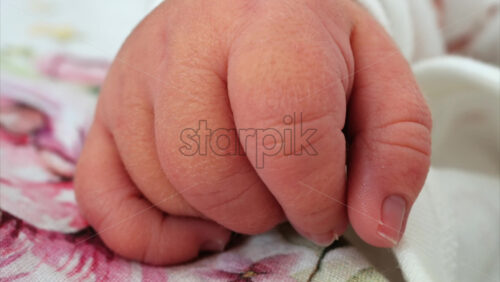 Close up of a newborn baby’s tiny hand clenched in soft natural light while resting - Starpik Stock