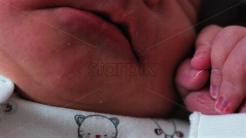Close up of a newborn baby’s tiny hand clenched in soft natural light while resting - Starpik Stock