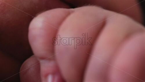 Close up of a newborn baby’s tiny hand clenched in soft natural light while resting - Starpik Stock