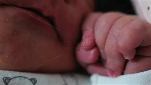 Close up of a newborn baby’s tiny hand clenched in soft natural light while resting - Starpik Stock