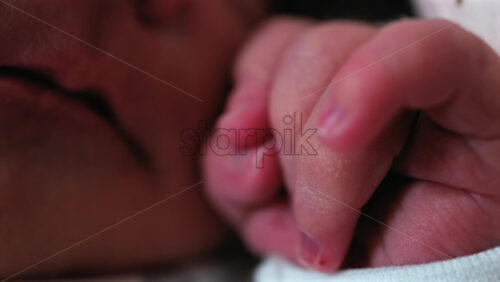 Close up of a newborn baby’s tiny hand clenched in soft natural light while resting - Starpik Stock