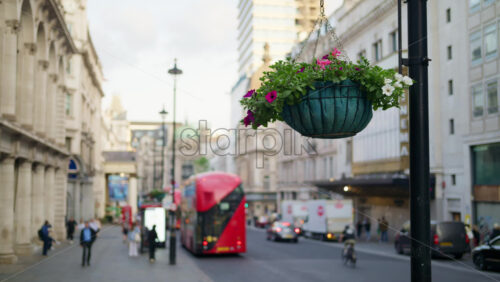 Close up of a pot with flowers with a blurred view of red double-deckers and people moving on the street in London, England - Starpik Stock