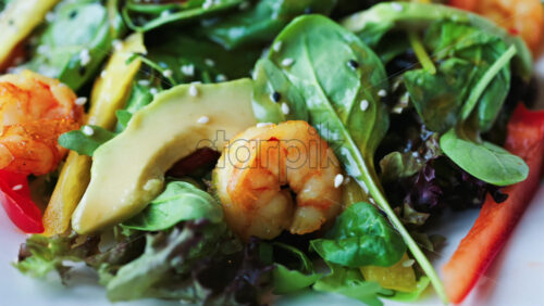 Close up of a salad with spinach, avocado, shrimp, and peppers on a white plate - Starpik Stock