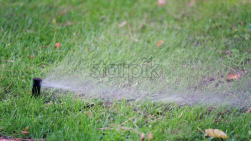 Close up of a water sprinkler in action, spraying water across grass and plants - Starpik Stock