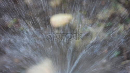Close up of a water sprinkler in action, spraying water across grass and plants - Starpik Stock