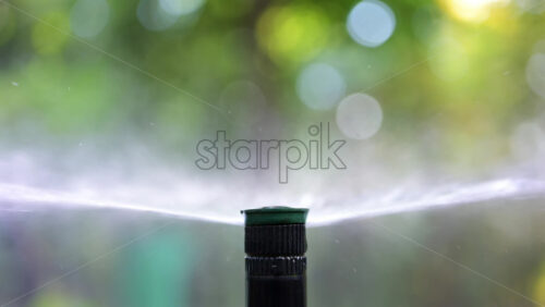 Close up of a water sprinkler in action, spraying water across grass and plants - Starpik Stock