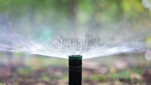 Close up of a water sprinkler in action, spraying water across grass and plants - Starpik Stock