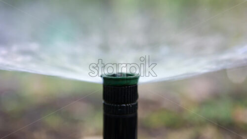 Close up of a water sprinkler in action, spraying water across grass and plants - Starpik Stock