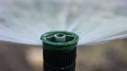 Close up of a water sprinkler in action, spraying water across grass and plants - Starpik Stock