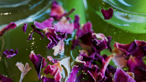 Close up of an iced matcha in a glass with purple dried flowers on top - Starpik Stock
