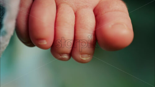Close up of newborn baby toes showing soft skin and tiny nails - Starpik Stock