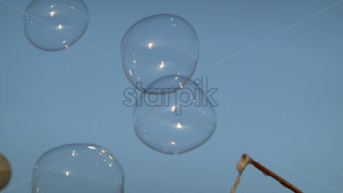 Colorful soap bubbles floating against the blue evening sky during a street performance - Starpik Stock