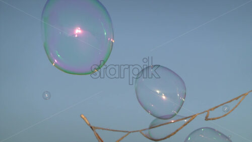 Colorful soap bubbles floating against the blue evening sky during a street performance - Starpik Stock