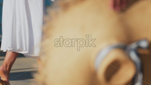 Elegantly dressed women walking on a scenic terrace with a view of a calm body of water - Starpik Stock