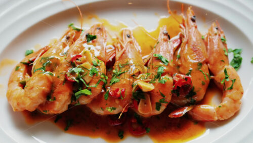 Garlic prawns in a rich sauce topped with herbs on a white plate - Starpik Stock