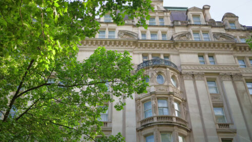 Green trees over an ornate historical building facade in London, England in daylight - Starpik Stock