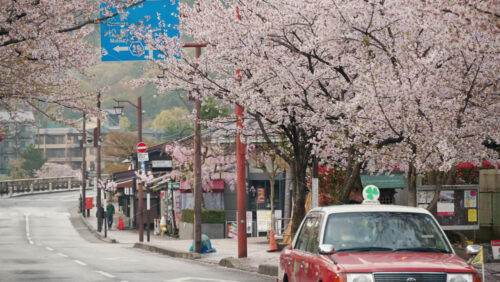 Kyoto, Japan – April 11, 2025: Car moving on the street surrounded by pink cherry blossom trees - Starpik Stock