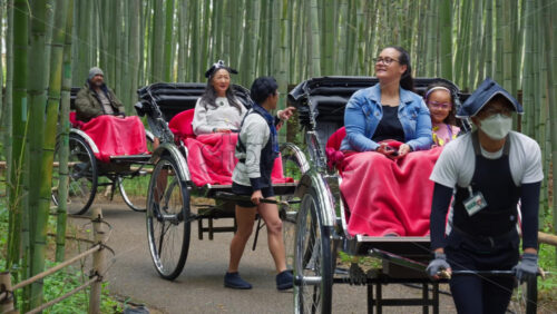 Kyoto, Japan – April 11, 2025: People on rickshaws, being pulled by a traditionally dressed rickshaw runners through the Arashiyama Bamboo Forest - Starpik Stock