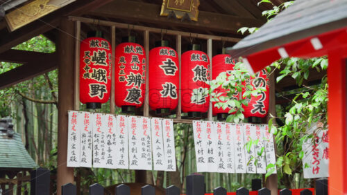 Kyoto, Japan – April 11, 2025: Red paper lanterns with omikuji hanging under them at the Arashiyama Bamboo Forest in Kyoto, Japan. Translation: “Company and people blessed names” - Starpik Stock