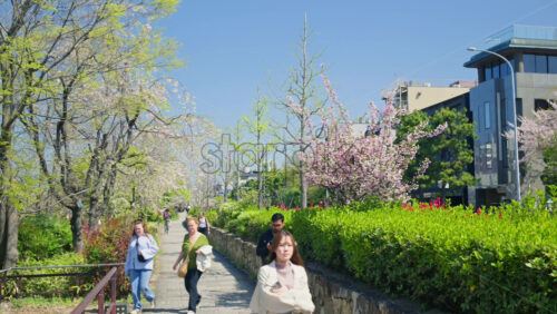 Kyoto, Japan – April 12, 2025: People walking and biking in a park in the Gion area in daylight - Starpik Stock