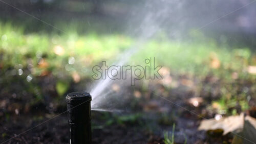 Lawn sprinkler spraying water with bright sun rays, creating sparkling reflections - Starpik Stock