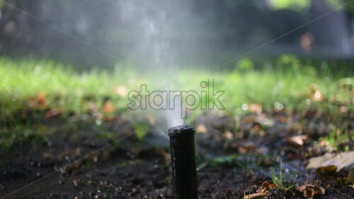 Lawn sprinkler spraying water with bright sun rays, creating sparkling reflections - Starpik Stock