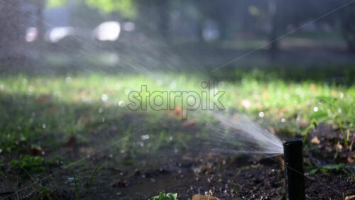 Lawn sprinkler spraying water with bright sun rays, creating sparkling reflections - Starpik Stock