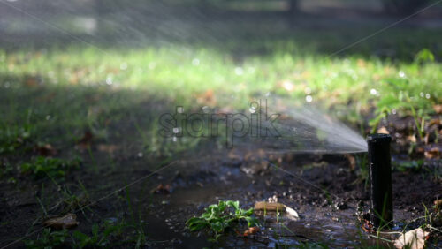 Lawn sprinkler spraying water with bright sun rays, creating sparkling reflections - Starpik Stock