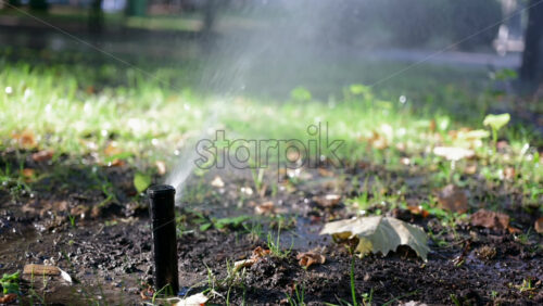 Lawn sprinkler spraying water with bright sun rays, creating sparkling reflections - Starpik Stock