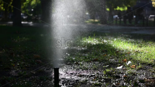 Lawn sprinkler spraying water with bright sun rays, creating sparkling reflections - Starpik Stock