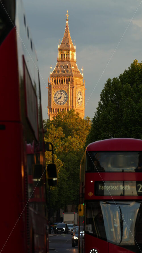 London, England – May 11, 2025: The Big Ben surrounded by green trees with buses moving on the streets in the evening. Vertical - Starpik Stock