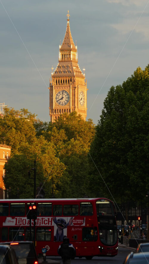 London, England – May 11, 2025: The Big Ben surrounded by green trees with cars moving on the streets in the evening. Golden sunlight. Vertical - Starpik Stock
