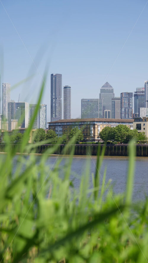 London, England – May 15, 2025: Close up of greenery with the Canary Wharf skyline in the background in daylight. Vertical - Starpik Stock