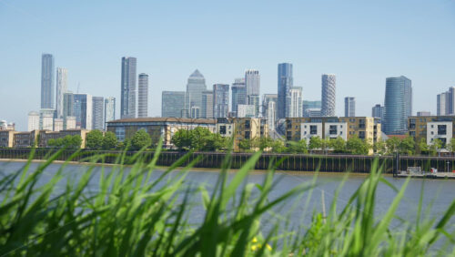 London, England – May 16, 2025: Close up of greenery with the Canary Wharf skyline in the background in daylight - Starpik Stock
