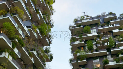 Milan, Italy – March 21, 2025: Low angle view of the Vertical Forest residential complex in the Porta Nuova district - Starpik Stock
