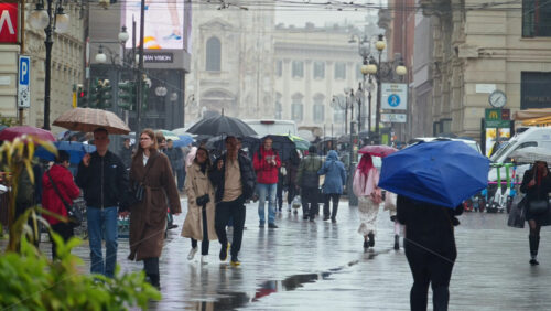 Milan, Italy – March 23, 2025: People holding umbrellas walking in the rain on thee street in Milan, Italy - Starpik Stock