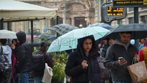 Milan, Italy – March 23, 2025: People holding umbrellas walking in the rain on thee street in Milan, Italy - Starpik Stock