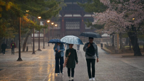 Nara, Japan – April 10, 2025: People walking in the rain at the Todai-ji Chumon, Central Gate. Translation: “Nigatsudo Pilgrimage Path” - Starpik Stock