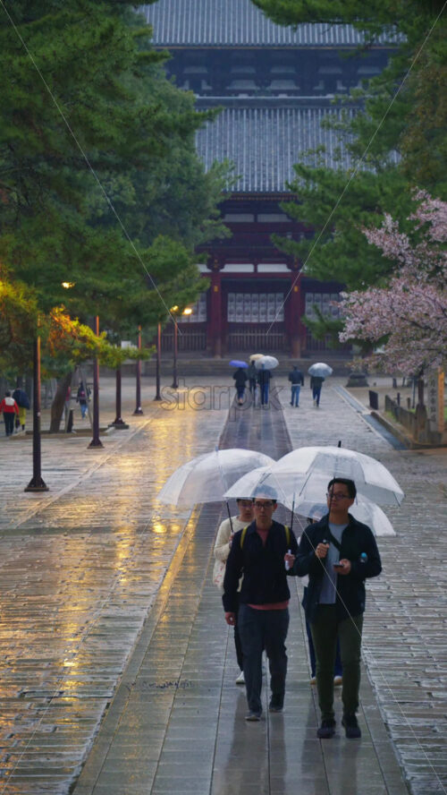 Nara, Japan – April 10, 2025: People walking in the rain at the Todai-ji Chumon, Central Gate. Translation: “Nigatsudo Pilgrimage Path”. Vertical - Starpik Stock